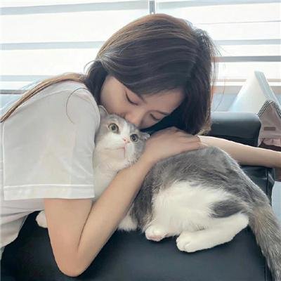 乱世美人
